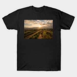 Rushup Edge Morning T-Shirt